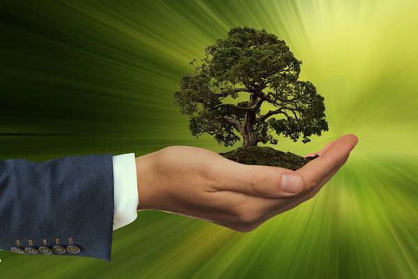 Экологическое законодательство: из опыта Японии - ecosever.ru - Япония