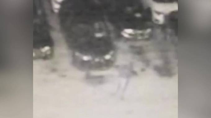 Момент поджога 13 автомобилей в Кургане попал на видео - piter.tv - Россия - Курган