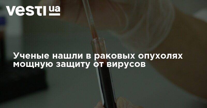 Фрэнсис Крик - Ученые нашли в раковых опухолях мощную защиту от вирусов - vesti.ua - Англия