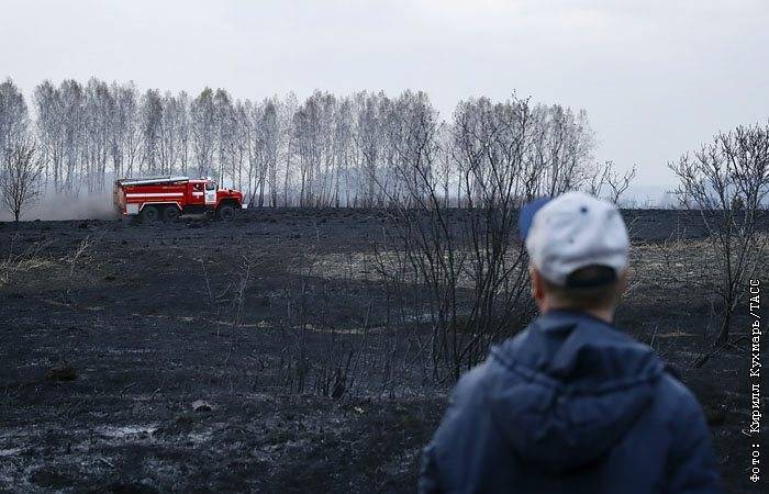 Кирилл Кухмарь - Greenpeace впервые собрал карту всех весенных природных пожаров в России - interfax.ru - Москва - Россия - Новосибирская обл.
