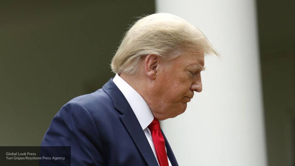 Дональд Трамп - Нэнси Пелоси - Пелоси и Шумер уличили Трампа в трусливости и разжигании раздоров в США - nation-news.ru - США