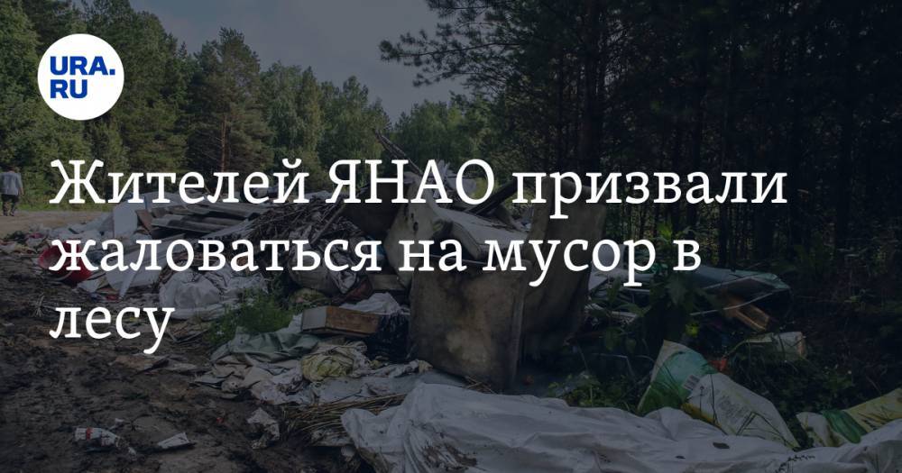Жителей ЯНАО призвали жаловаться на мусор в лесу - ura.news - окр. Янао