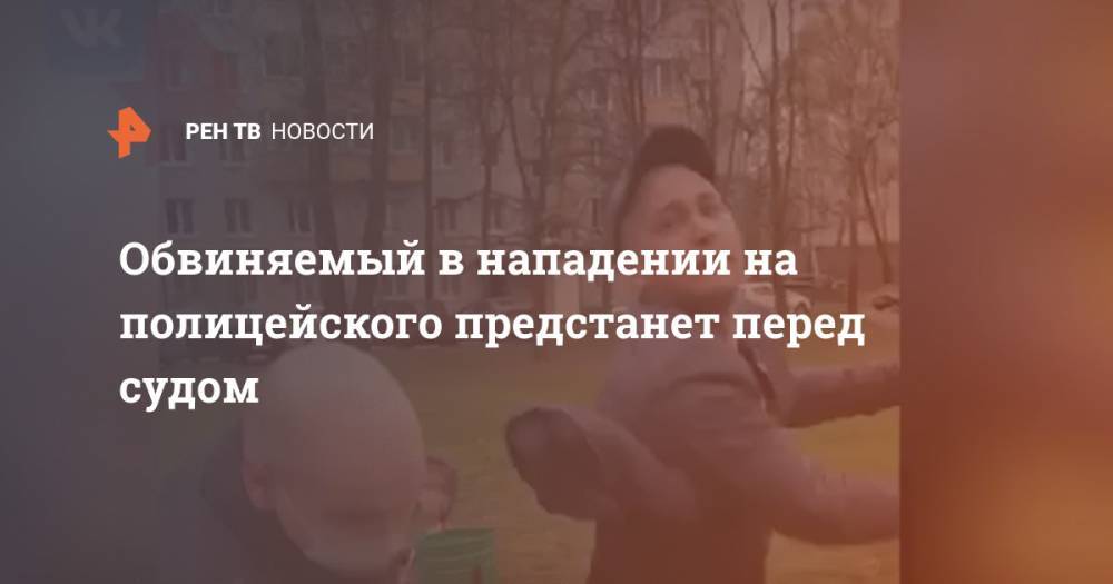 Обвиняемый в нападении на полицейского предстанет перед судом - ren.tv - Москва - респ. Татарстан