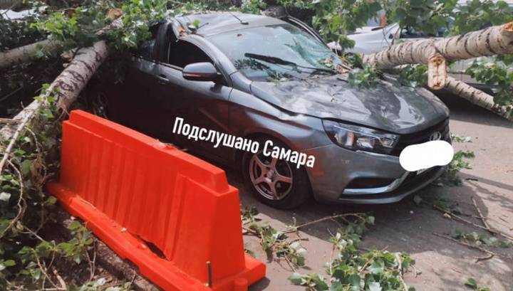 Рабочие копали траншею у тополя и уронили его на авто с детьми внутри - vesti.ru - Самара