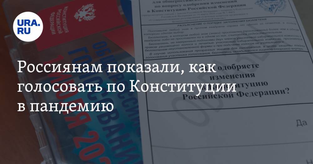 Россиянам показали, как голосовать по Конституции в пандемию - ura.news - Россия
