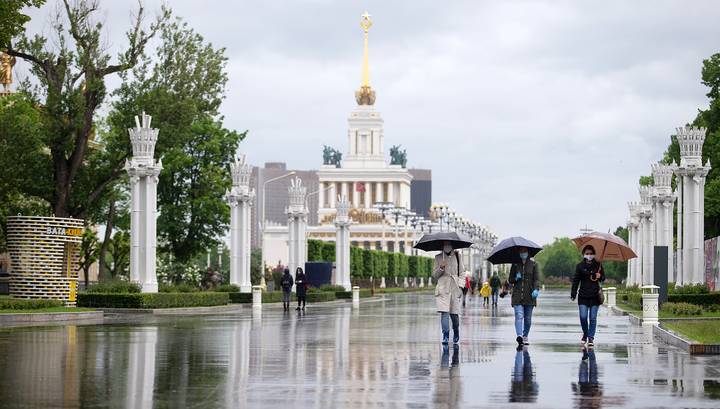 Холод не помеха: весна в Москве оказалась теплее нормы - vesti.ru - Москва - Санкт-Петербург