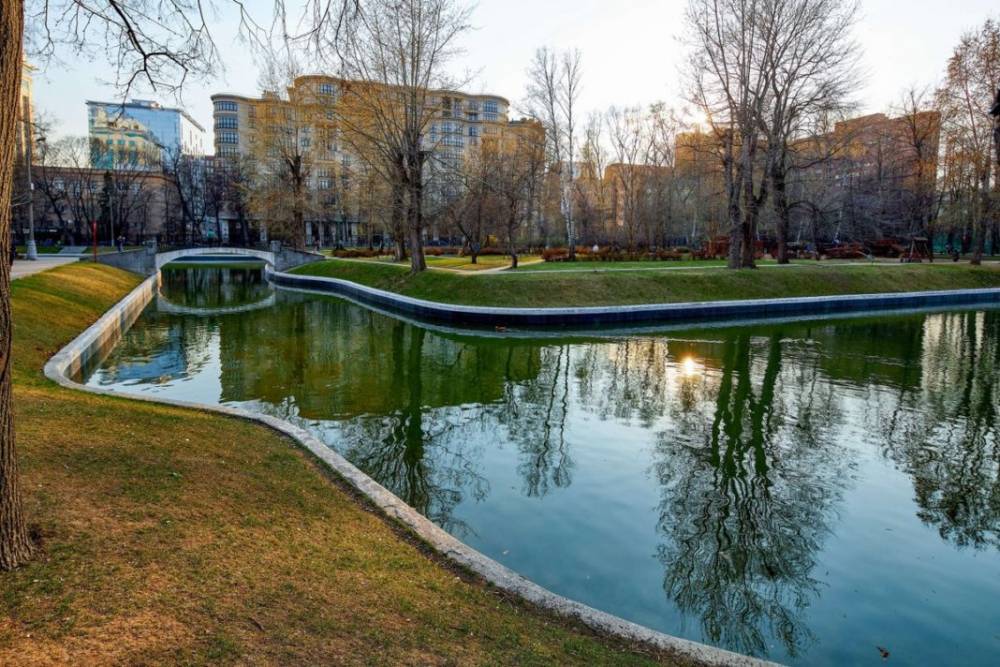 Московские педагогии и экологи обсудят бережное отношение к природе на онлайн-встрече - smi24.news - Москва