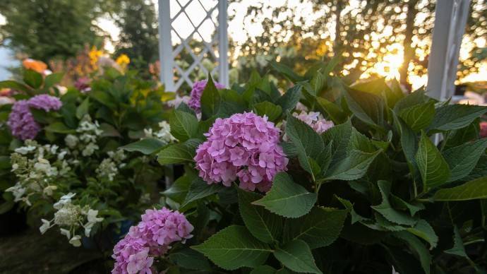 Moscow Flower Show проведет онлайн-вебинар по ландшафтному дизайну - parkseason.ru - Москва - Новости