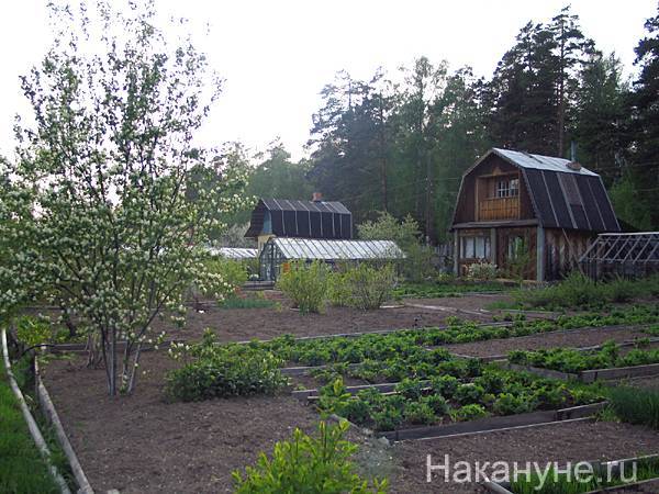 Лето пришло на Урал: в Свердловской области прогнозируют заморозки - nakanune.ru - Россия - Свердловская обл.