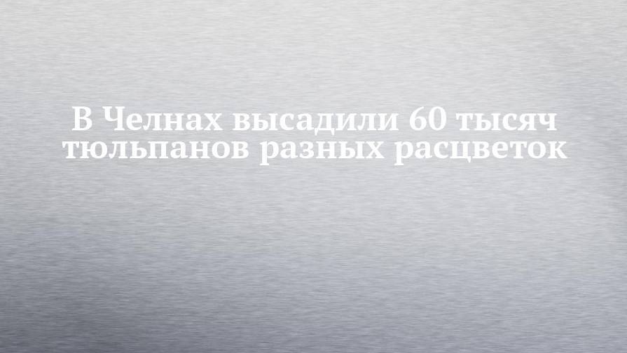 В Челнах высадили 60 тысяч тюльпанов разных расцветок - chelny-izvest.ru - респ. Татарстан - Набережные Челны