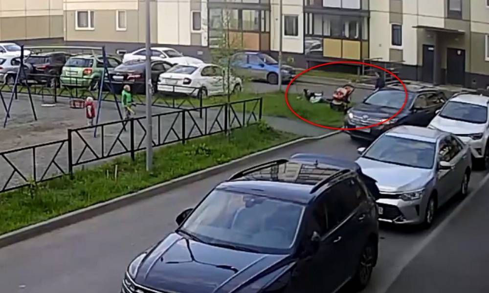 «Орала, что я сумасшедшая!» Петрозаводчанка избила молодую мать на глазах у детей (ВИДЕО) - gubdaily.ru - Петрозаводск