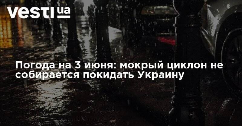 Наталья Диденко - Погода на 3 июня: мокрый циклон не собирается покидать Украину - vesti.ua - Украина - Киев