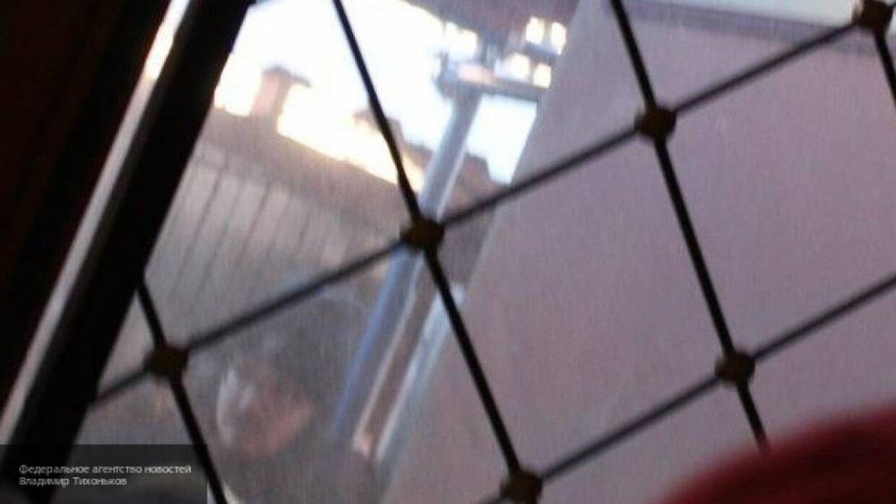 Либералы пытаются выставить Полтавца психопатом, а его друзей — "жертвами режима" - inforeactor.ru - Россия