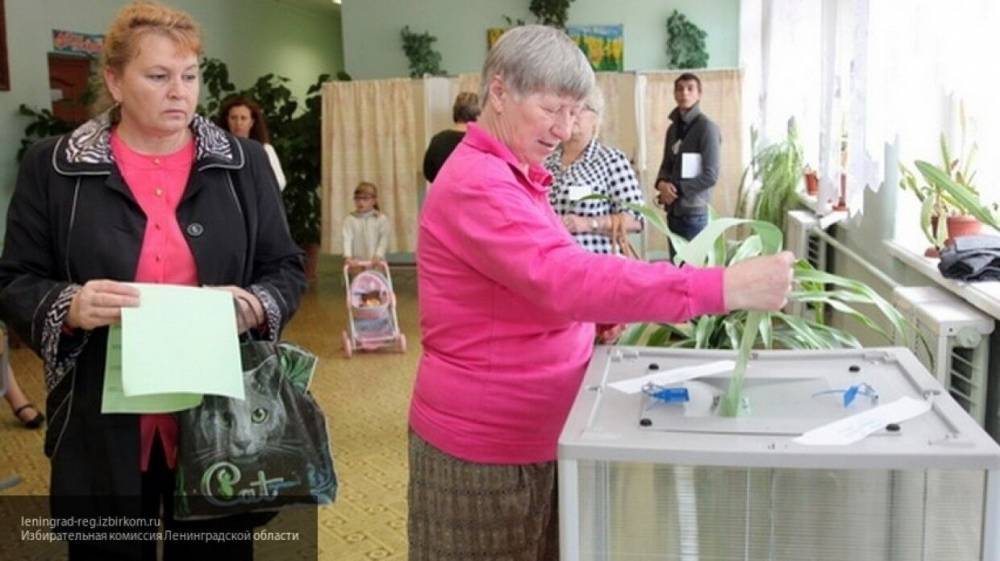 Владимир Путин - Майя Гришина - ЦИК: региональные избиркомы объявят результаты голосования по поправкам 3 июля - nation-news.ru - Россия
