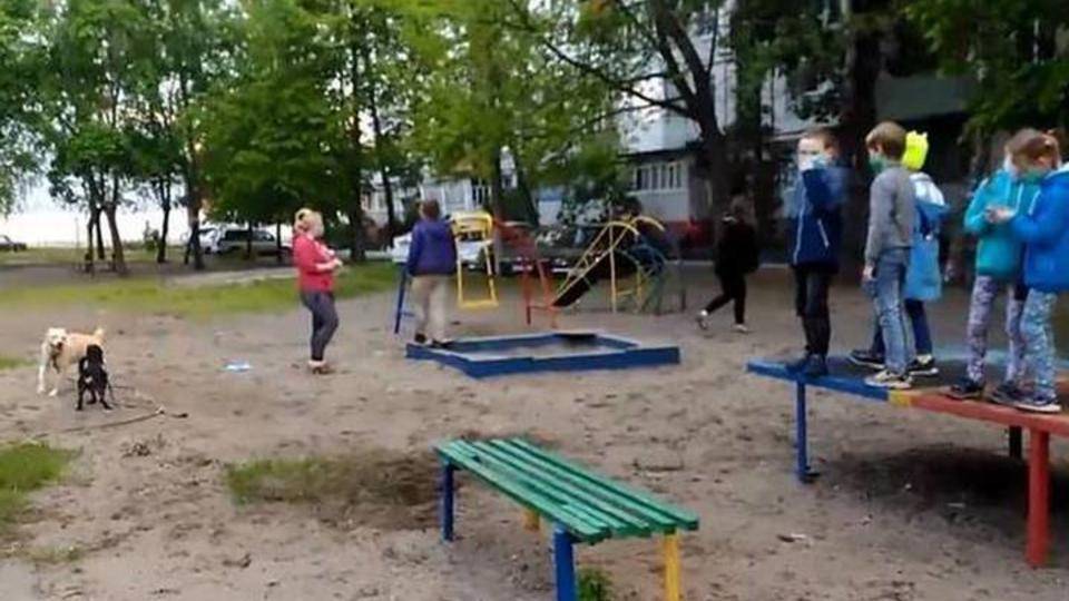 Собачницы загнали детей на теннисный стол в Брянске - 7info.ru - Россия - Брянск