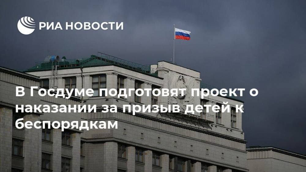 Евгений Марченко - В Госдуме подготовят проект о наказании за призыв детей к беспорядкам - ria.ru - Москва - Россия - Санкт-Петербург