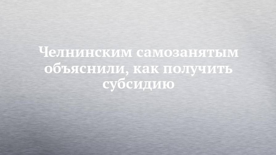 Челнинским самозанятым объяснили, как получить субсидию - chelny-izvest.ru - Набережные Челны