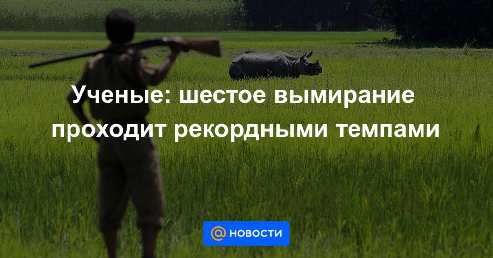Ученые: шестое вымирание проходит рекордными темпами - news.mail.ru - США - Мексика