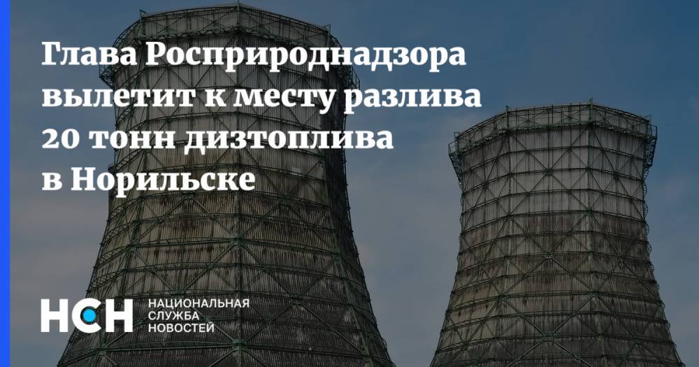 Виктория Абрамченко - Светлана Радионова - Глава Росприроднадзора вылетит к месту разлива 20 тонн дизтоплива в Норильске - nsn.fm - Норильск