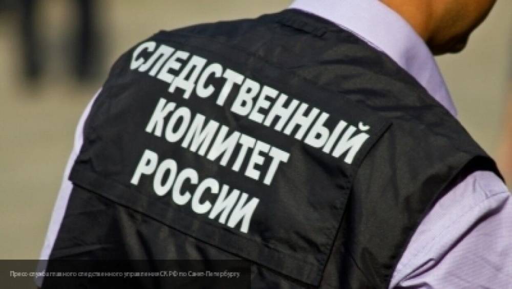 Суд арестовал двоих обвиняемых в изнасиловании подростков в Петербурге - inforeactor.ru - Россия - Санкт-Петербург