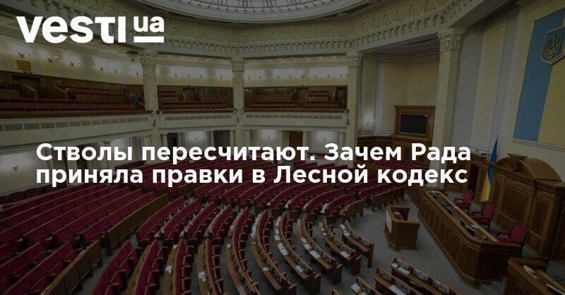 Вадим Ивченко - Стволы пересчитают. Зачем Рада приняла правки в Лесной кодекс - vesti.ua - Украина