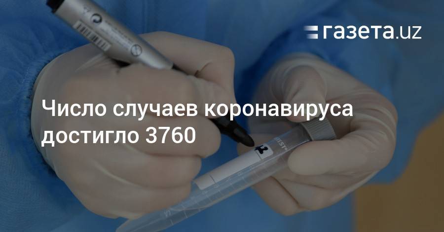 Число случаев коронавируса достигло 3760 - gazeta.uz - Казахстан - Узбекистан - Навоийской обл. - Ташкент