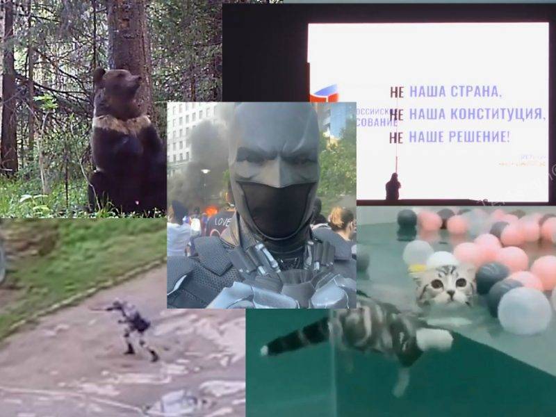 Самые интересные видео 2 июня - bloknot.ru - Россия - Санкт-Петербург