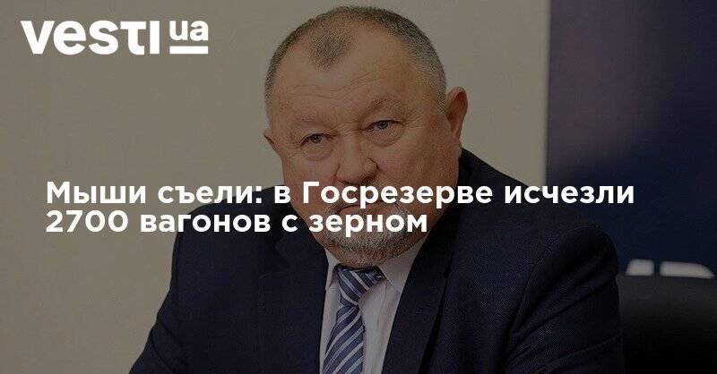 Мыши съели: в Госрезерве исчезли 2700 вагонов с зерном - vesti.ua - Украина