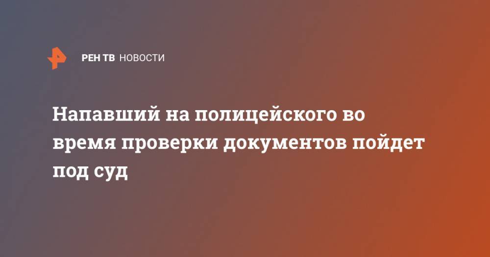 Напавший на полицейского во время проверки документов пойдет под суд - ren.tv - Москва