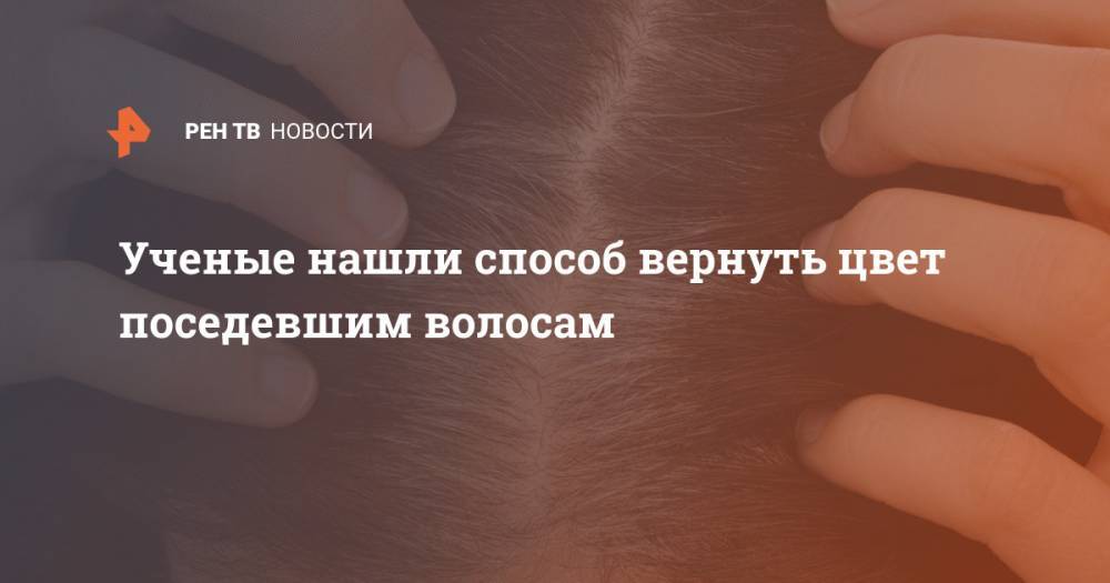 Ученые нашли способ вернуть цвет поседевшим волосам - ren.tv - Колумбия