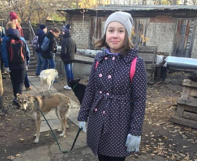 «Кто, если не я?». Ульяновская школьница спасает бездомных собак - ulpravda.ru - Ульяновск