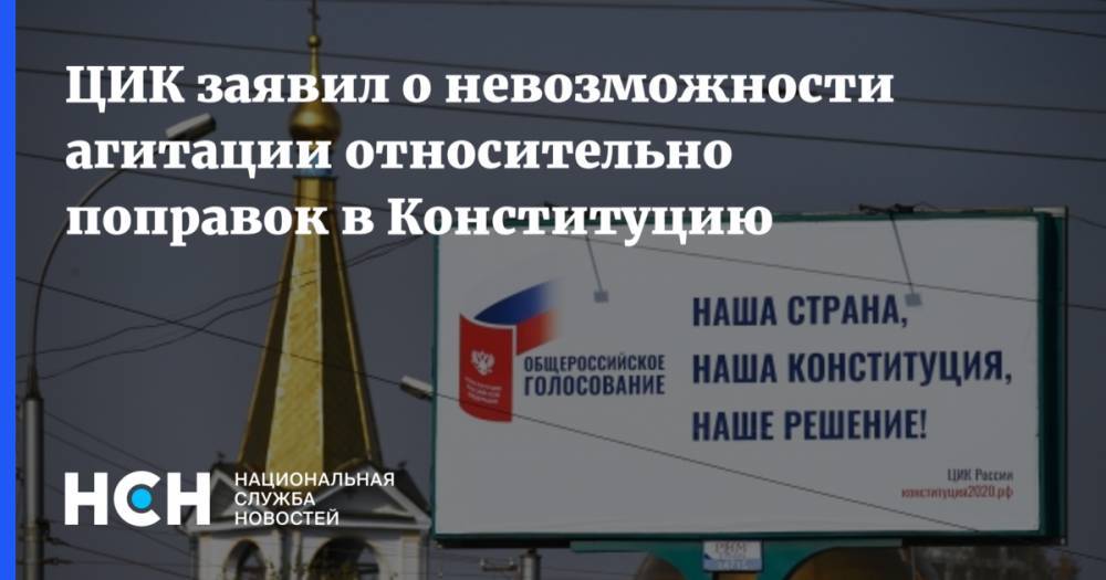 Майя Гришина - ЦИК заявил о невозможности агитации относительно поправок в Конституцию - nsn.fm - Россия