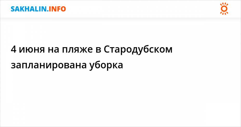 Наталья Крылова - 4 июня на пляже в Стародубском запланирована уборка - sakhalin.info - Южно-Сахалинск - район Долинский