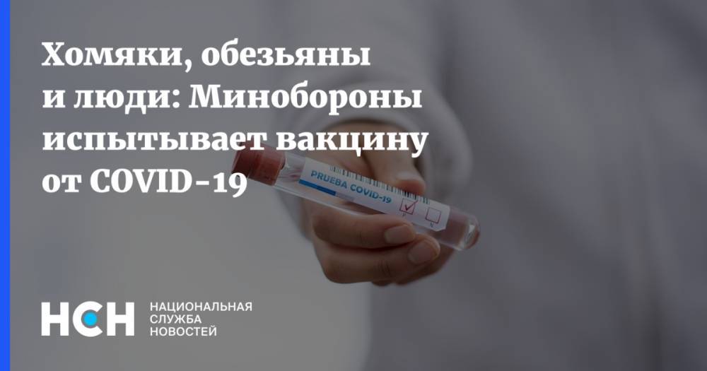 Геннадий Онищенко - Хомяки, обезьяны и люди: Минобороны испытывает вакцину от COVID-19 - nsn.fm - Россия