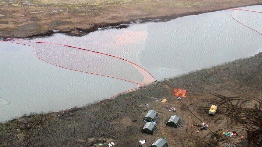 Светлана Радионова - Глава Росприродназора вылетела в Норильск для оценки масштаба экологической катастрофы - 5-tv.ru - Красноярский край - Норильск
