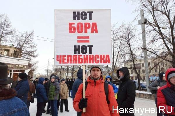 Защитники челябинского городского бора попросили Путина запретить вырубку памятника природы - nakanune.ru - Челябинск - район Центральный - Строительство