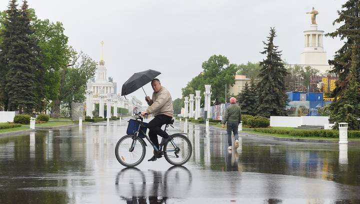На столицу движется тропический ливень - vesti.ru - Москва - Россия - Московская обл.