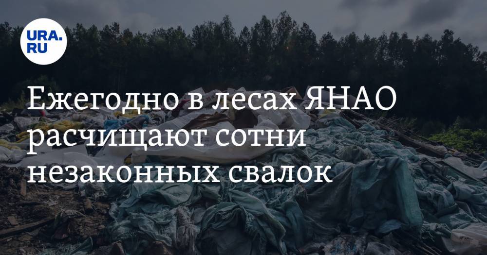 Ежегодно в лесах ЯНАО расчищают сотни незаконных свалок - ura.news - окр. Янао
