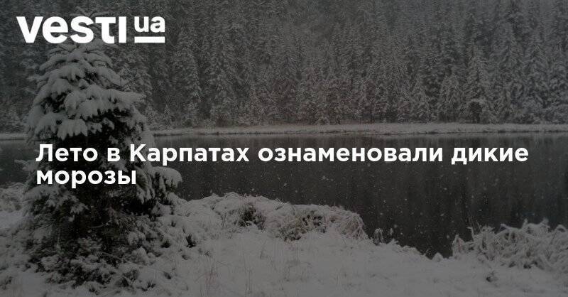 Лето в Карпатах ознаменовали дикие морозы - vesti.ua
