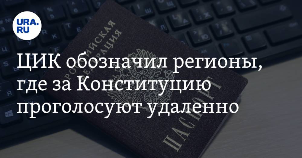 Владимир Путин - Глеб Никитин - Наталья Сергунина - ЦИК обозначил регионы, где за Конституцию проголосуют удаленно - ura.news - Москва - Россия - Красноярский край - Санкт-Петербург - Нижегородская обл. - Карелия