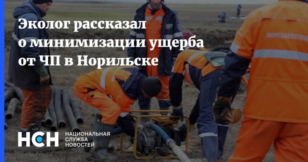 Светлана Радионова - Эколог рассказал о минимизации ущерба в Норильске - nsn.fm - Россия - Норильск