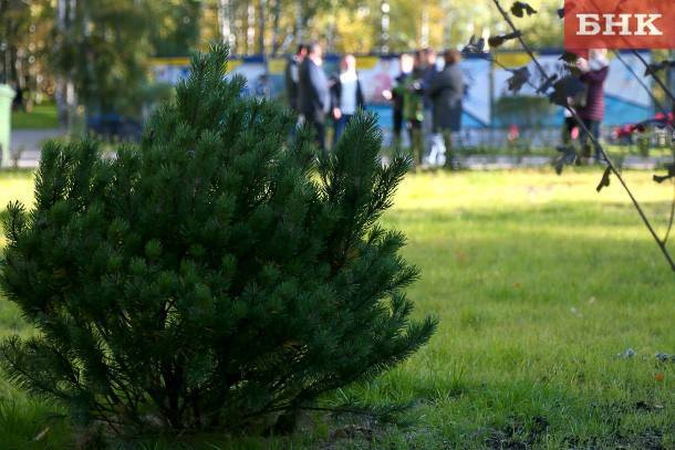 В Сосногорске определяют общественные территории для благоустройства в 2021 году - bnkomi.ru - Сосногорск - район Сосногорский