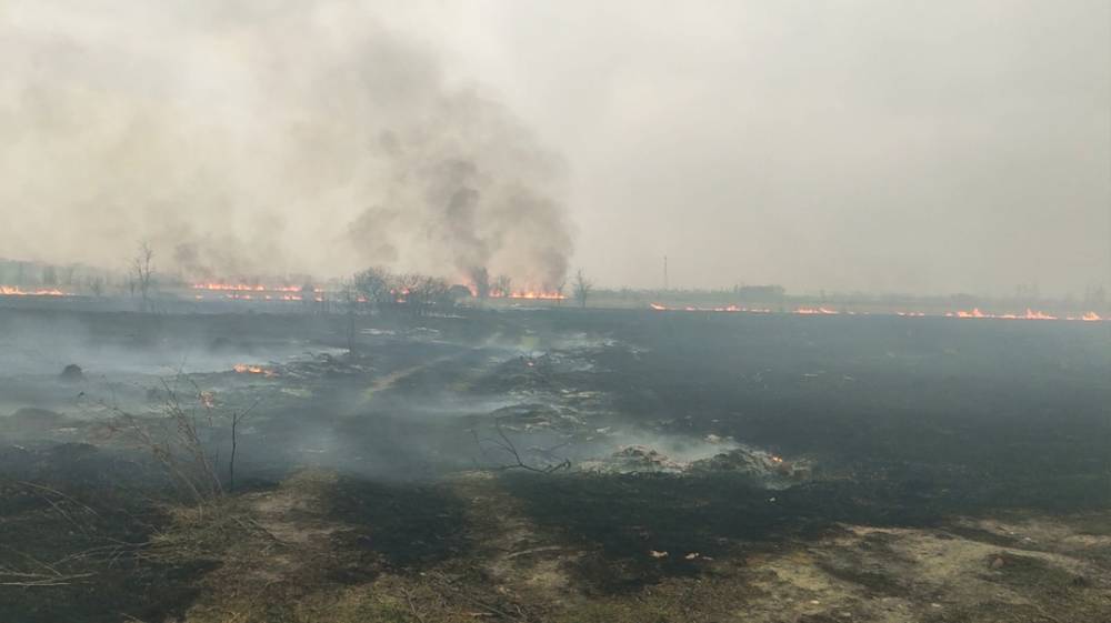В Воронежской области за весну произошло более 2 тыс. ландшафтных пожаров - vestivrn.ru - Россия - Воронеж - Воронежская обл. - Греция