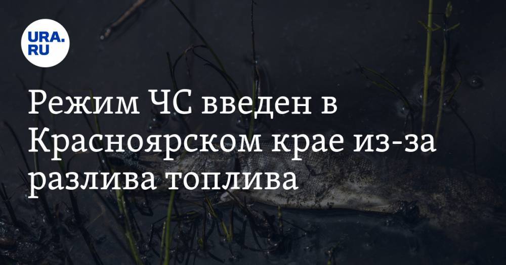 Евгений Зиничев - Режим ЧС введен в Красноярском крае из-за разлива топлива. ВИДЕО - ura.news - Россия - Красноярский край - Норильск