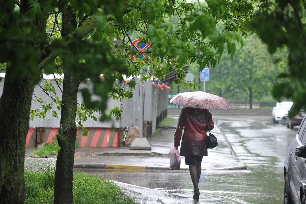 Сильные дожди обрушатся на столицу в конце дня - vm.ru - Москва