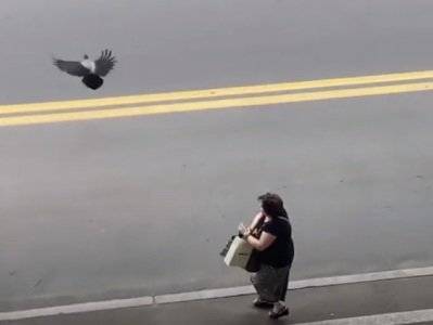 В центре Тбилиси на прохожих напала ворона - news.am - Грузия - Тбилиси