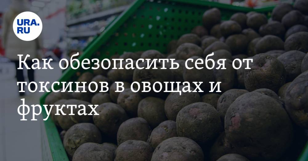 Как обезопасить себя от токсинов в овощах и фруктах. Советы биологов - ura.news