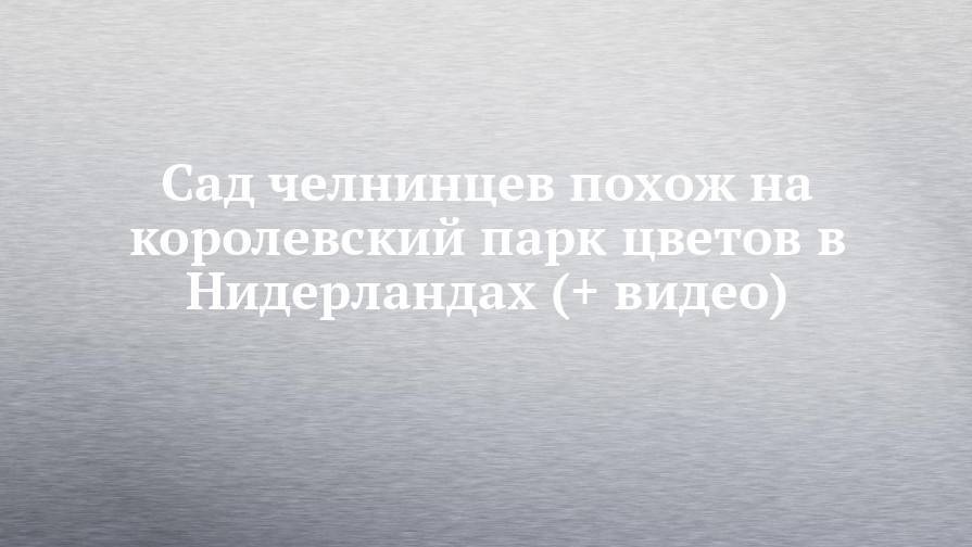 Сад челнинцев похож на королевский парк цветов в Нидерландах (+ видео) - chelny-izvest.ru - Канада - Голландия