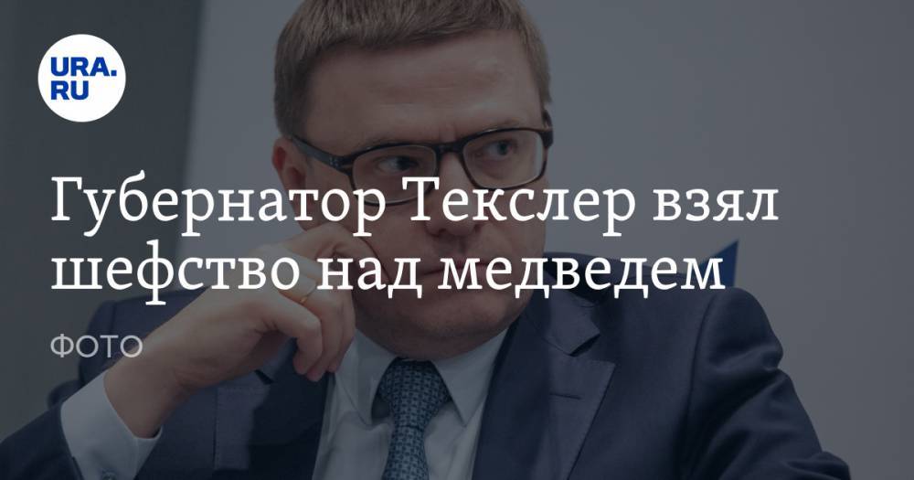 Алексей Текслер - Губернатор Текслер взял шефство над медведем. ФОТО - ura.news - Челябинская обл.