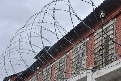 В России оценили число несправедливо осужденных граждан - lenta.ru - Россия